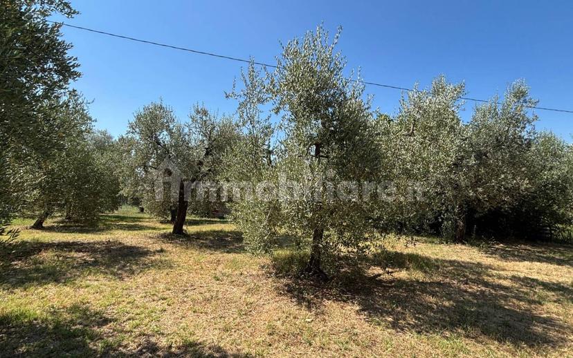 Casale via Sant'Andrea 37, Sant'andrea, Montebuono — foto 2 di 39