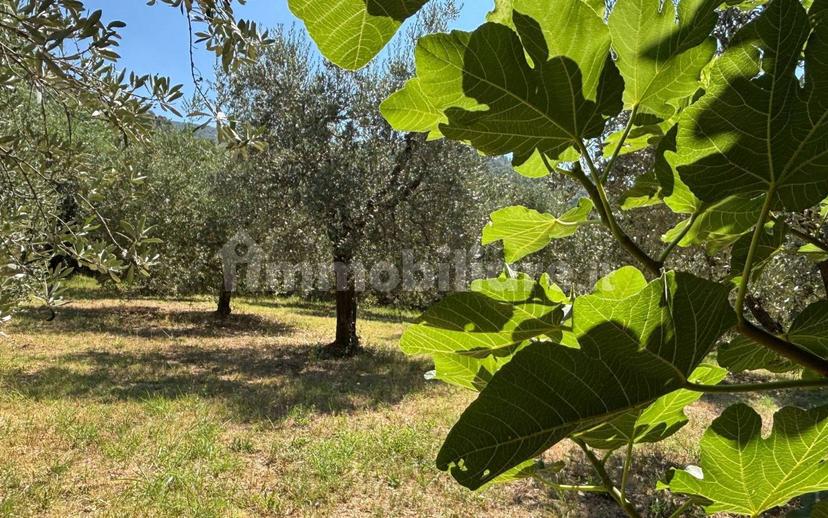 Casale via Sant'Andrea 37, Sant'andrea, Montebuono — foto 23 di 39