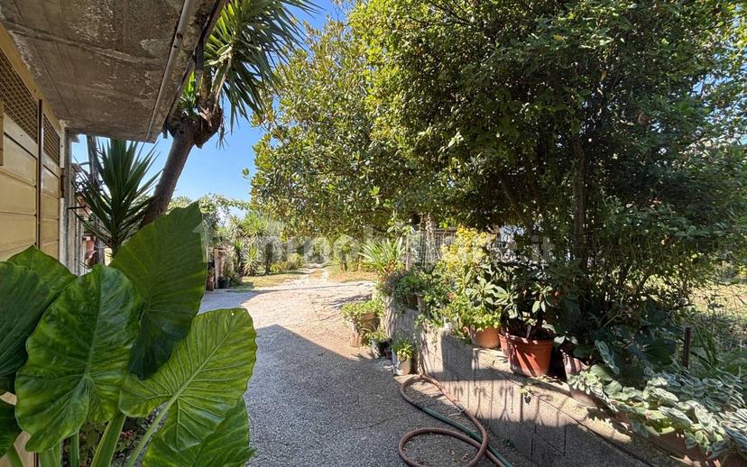 Casale via Sant'Andrea 37, Sant'andrea, Montebuono — foto 37 di 39
