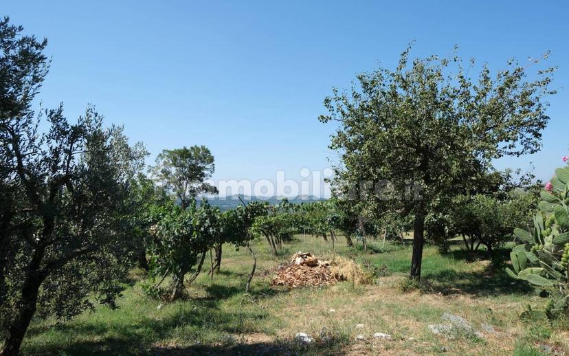 Casale via Sant'Andrea 37, Sant'andrea, Montebuono — foto 33 di 39