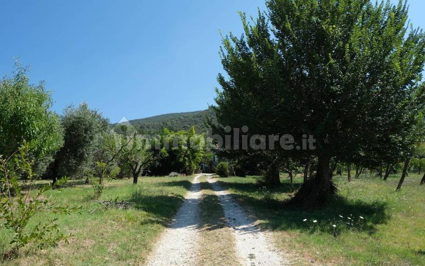 Casale via Sant'Andrea 37, Sant'andrea, Montebuono — foto 8 di 39