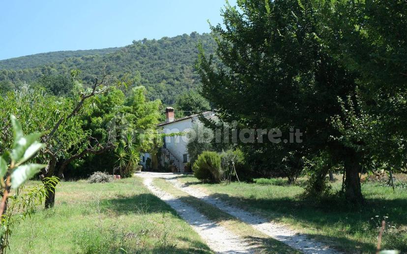 Casale via Sant'Andrea 37, Sant'andrea, Montebuono — foto 20 di 39