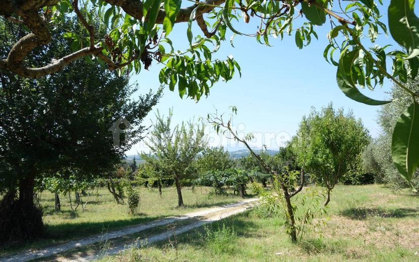 Casale via Sant'Andrea 37, Sant'andrea, Montebuono — foto 14 di 39