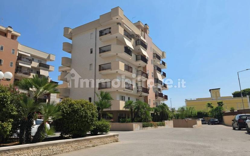 Quadrilocale via Giuseppe Verdi 5, Bisceglie — foto 7 di 9