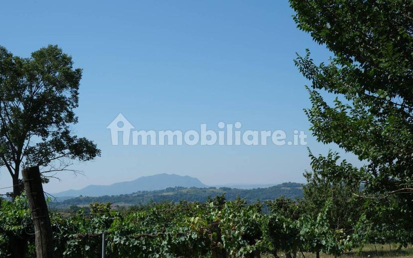 Casale via Sant'Andrea 37, Sant'andrea, Montebuono — foto 35 di 39