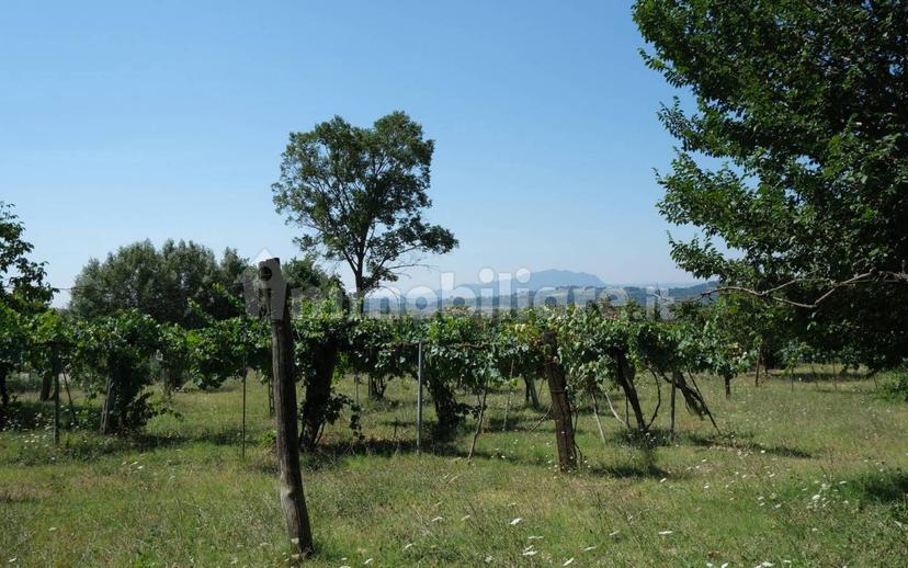 Casale via Sant'Andrea 37, Sant'andrea, Montebuono — foto 16 di 39
