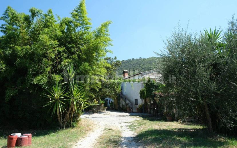 Casale via Sant'Andrea 37, Sant'andrea, Montebuono — foto 32 di 39