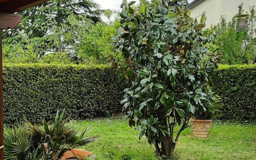 Villa unifamiliare, ottimo stato, 190 m², San Giorgio a Colonica, Prato — foto 9 di 30