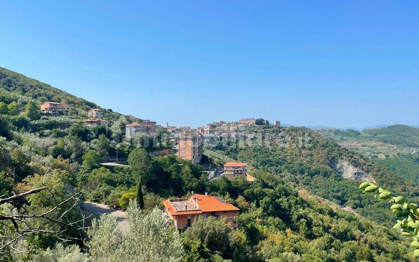 Terratetto unifamiliare 139 m², buono stato, Treppanico, Arpino — foto 12 di 30