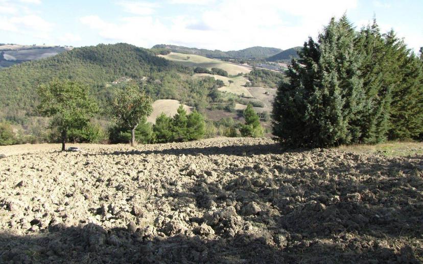 Villa unifamiliare Strada Interpoderale Colle Bruno-Macchia, Casacalenda — foto 9 di 17