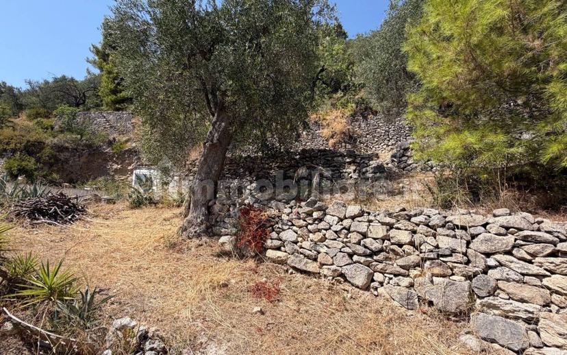 Casale via Vigne Antiche, Monte Sant'Angelo — foto 7 di 14