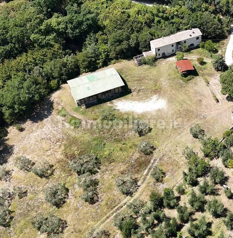 Rustico sant'agata, Torri in Sabina — foto 31 di 47