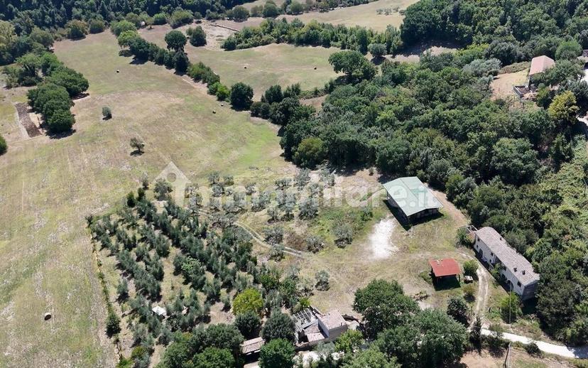Rustico sant'agata, Torri in Sabina — foto 22 di 47
