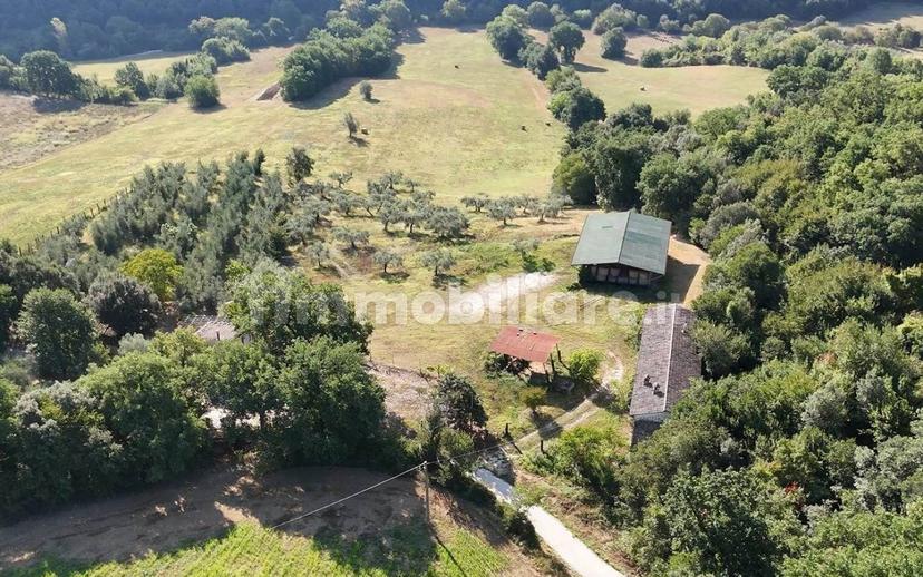 Rustico sant'agata, Torri in Sabina — foto 28 di 47
