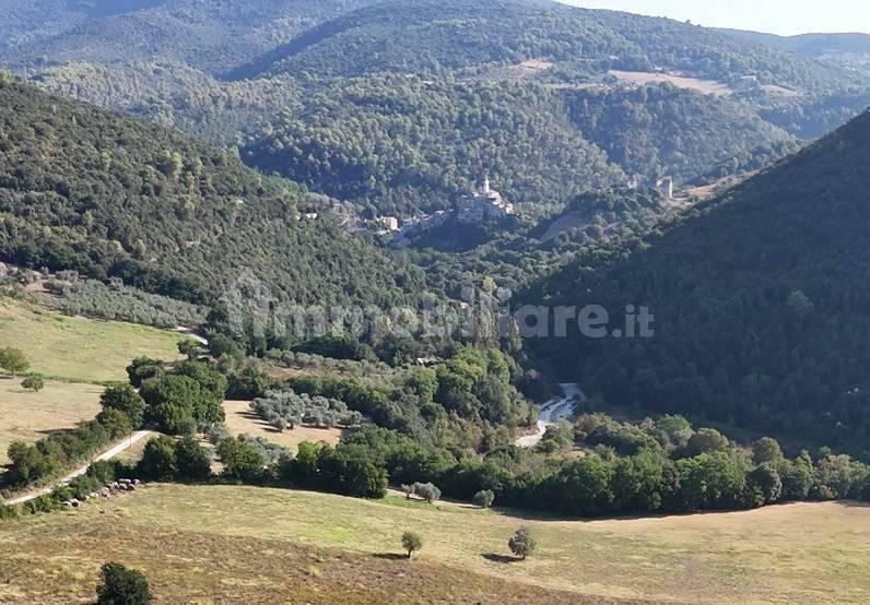 Rustico sant'agata, Torri in Sabina — foto 30 di 47