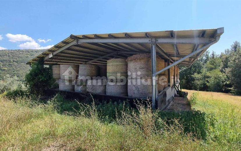Rustico sant'agata, Torri in Sabina — foto 27 di 47