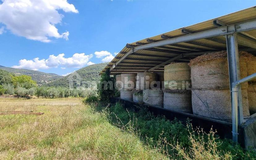 Rustico sant'agata, Torri in Sabina — foto 2 di 47