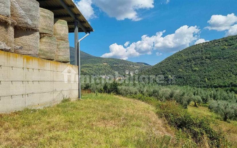 Rustico sant'agata, Torri in Sabina — foto 15 di 47