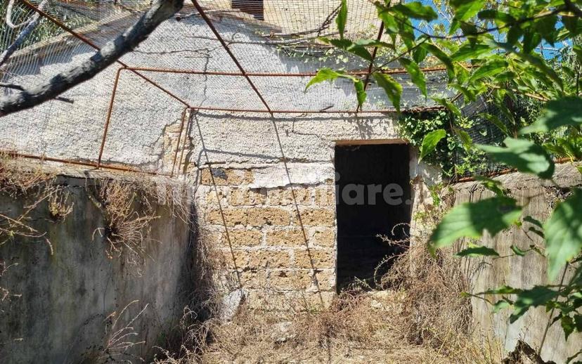 Rustico sant'agata, Torri in Sabina