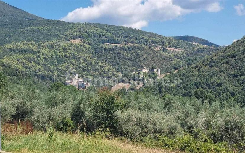 Rustico sant'agata, Torri in Sabina — foto 38 di 47