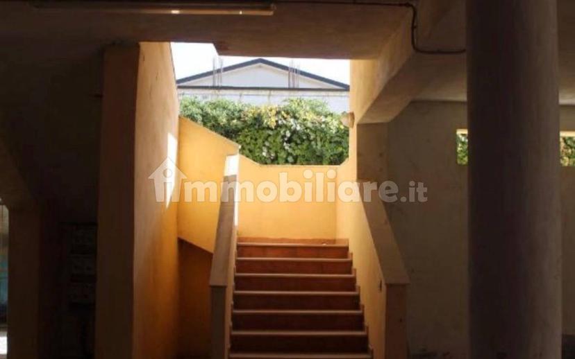 Bilocale Strada Statale Tirrena Inferiore, Corica, Amantea — foto 18 di 20