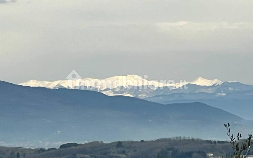 Rustico via del Poggione 31, Collesalvetti — foto 32 di 40