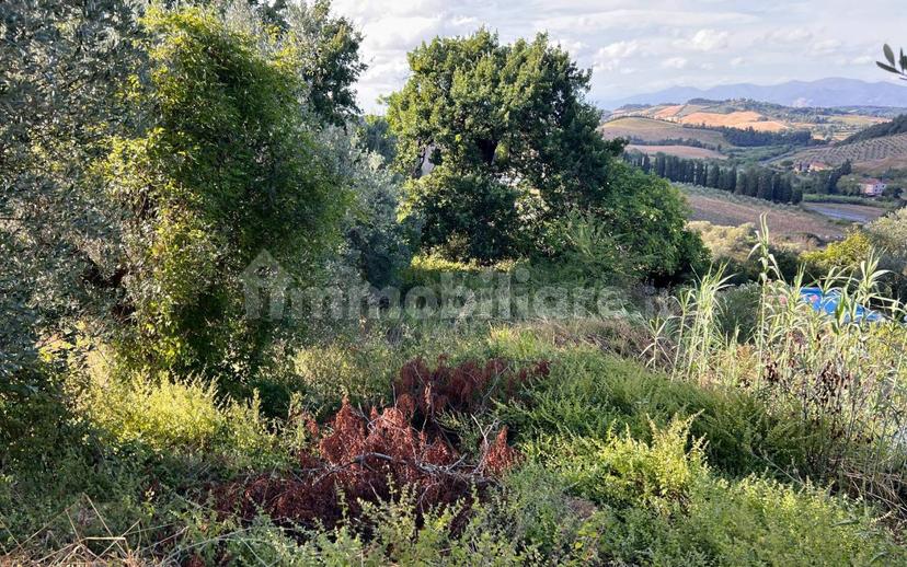 Rustico via del Poggione 31, Collesalvetti — foto 17 di 40