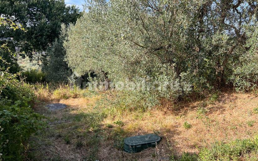 Rustico via del Poggione 31, Collesalvetti — foto 30 di 40