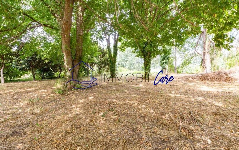 Villa unifamiliare via di Cisanello, Ghezzano, San Giuliano Terme — foto 2 di 50