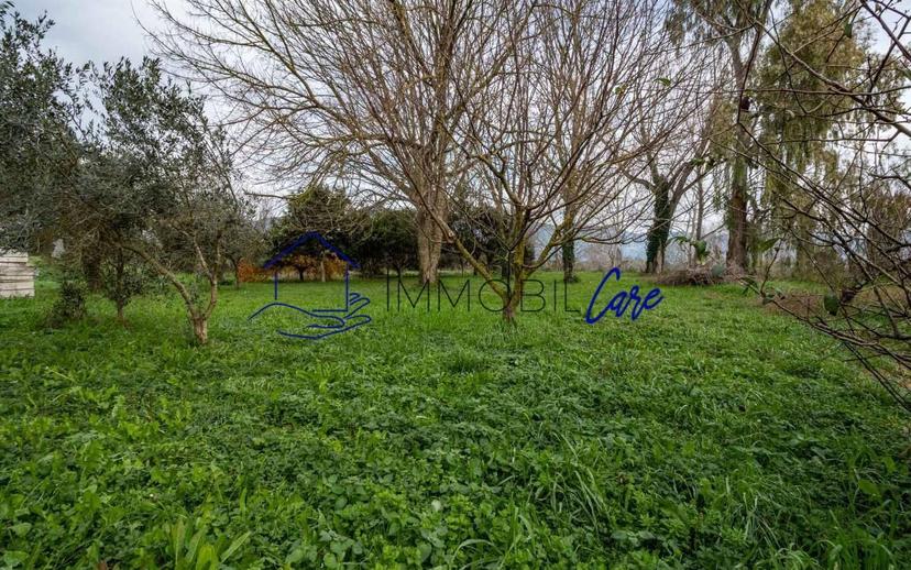 Villa unifamiliare via di Cisanello, Ghezzano, San Giuliano Terme — foto 9 di 50