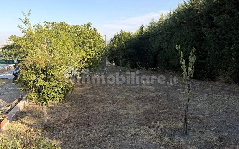 Villa unifamiliare Sp150 snc, Palata — foto 10 di 16