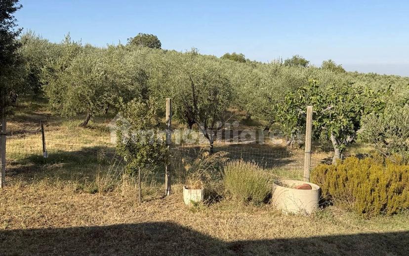 Villa unifamiliare Sp150 snc, Palata — foto 11 di 16