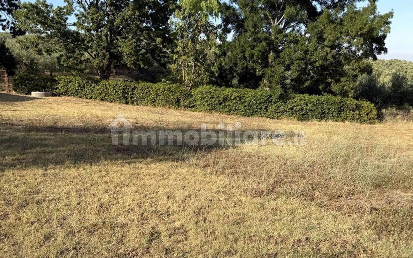 Villa unifamiliare Sp150 snc, Palata — foto 14 di 16