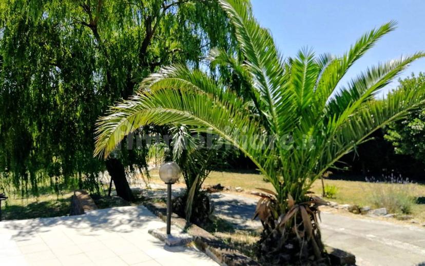 Villa unifamiliare Sp150 snc, Palata — foto 3 di 16