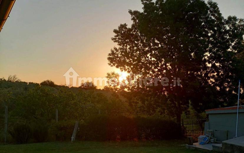 Villa unifamiliare Sp150 snc, Palata — foto 8 di 16