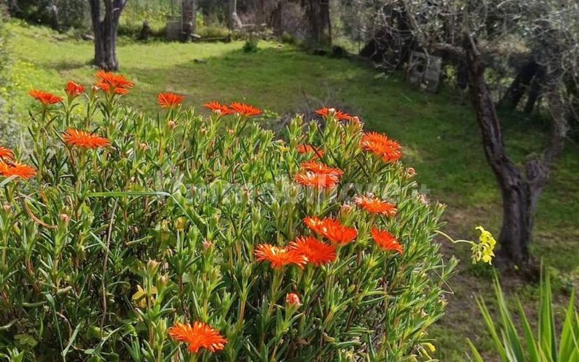 Villa unifamiliare Strada Vicinale Badde Pedrosa-Taniga, San Camillo - Taniga, Sassari — foto 7 di 8