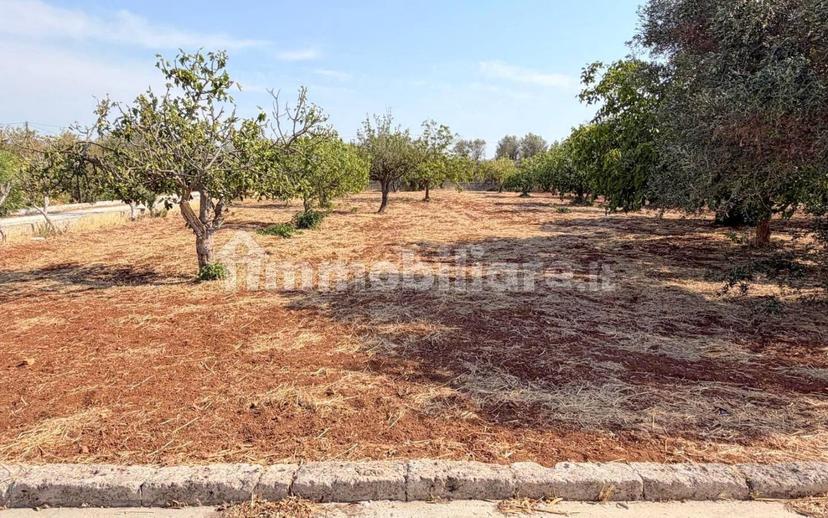 Villa unifamiliare Strada Provinciale Ceglie-Francavilla Fontana, Ceglie Messapica — foto 14 di 52