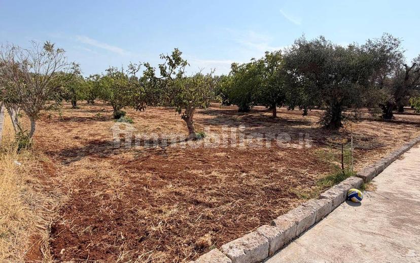 Villa unifamiliare Strada Provinciale Ceglie-Francavilla Fontana, Ceglie Messapica — foto 24 di 52