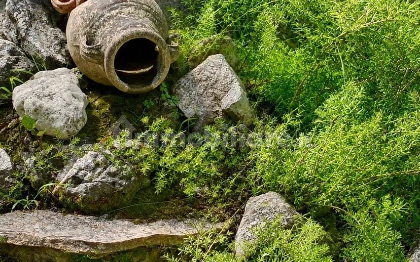 Villa unifamiliare Strada Regionale Sabina 10, Stimigliano — foto 15 di 20
