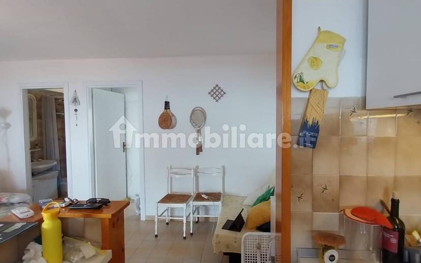 Bilocale Contrada Santa Rosalia, Pantana Santa Rosalia Macchia, Acquappesa — foto 92 di 95