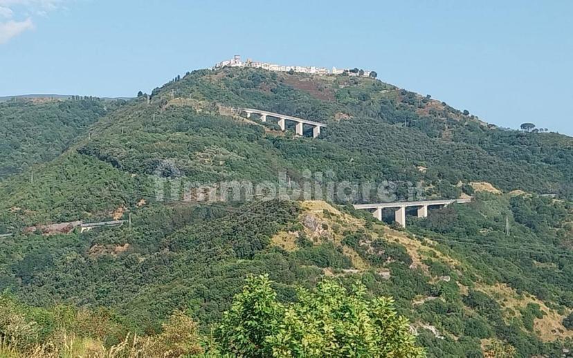 Bilocale Contrada Santa Rosalia, Pantana Santa Rosalia Macchia, Acquappesa — foto 54 di 95