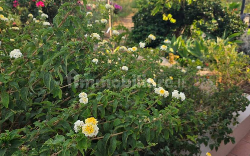 Villa bifamiliare Sp36, Contrade di Marina di Ragusa, Ragusa — foto 4 di 23