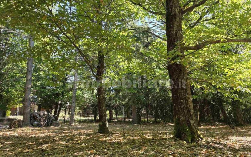 Villa unifamiliare via di Montagna 113, San Lorenzo, Arcidosso — foto 29 di 32
