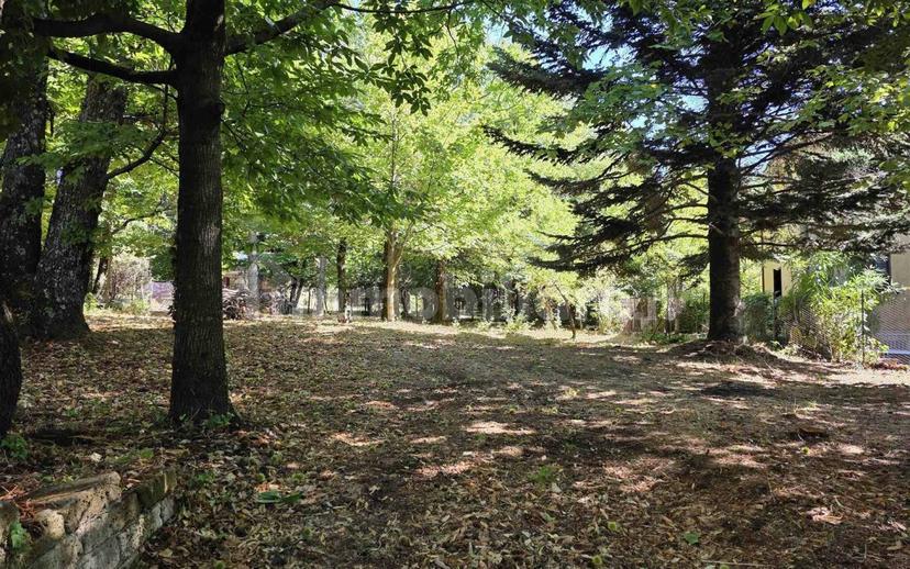 Villa unifamiliare via di Montagna 113, San Lorenzo, Arcidosso — foto 16 di 32