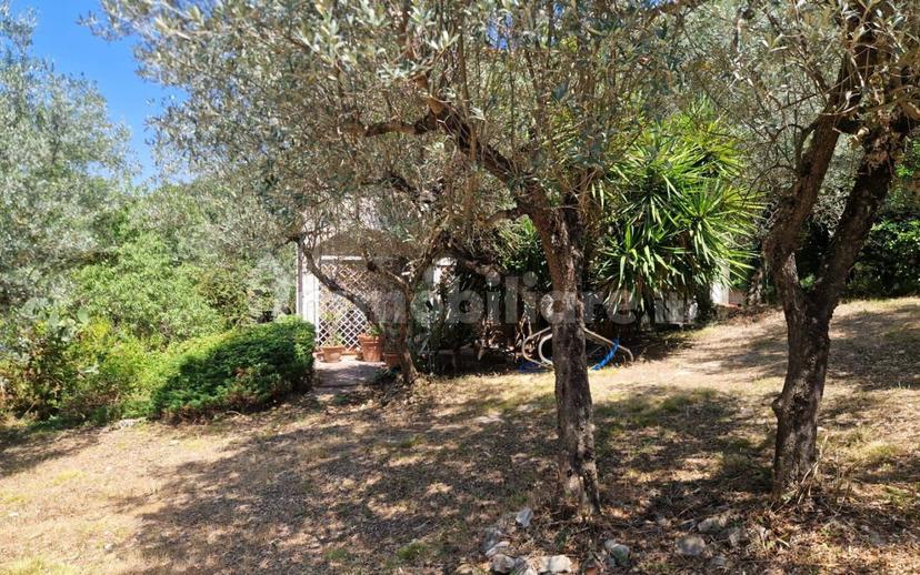 Villa unifamiliare via Ternana 57, Poggio Catino — foto 23 di 48