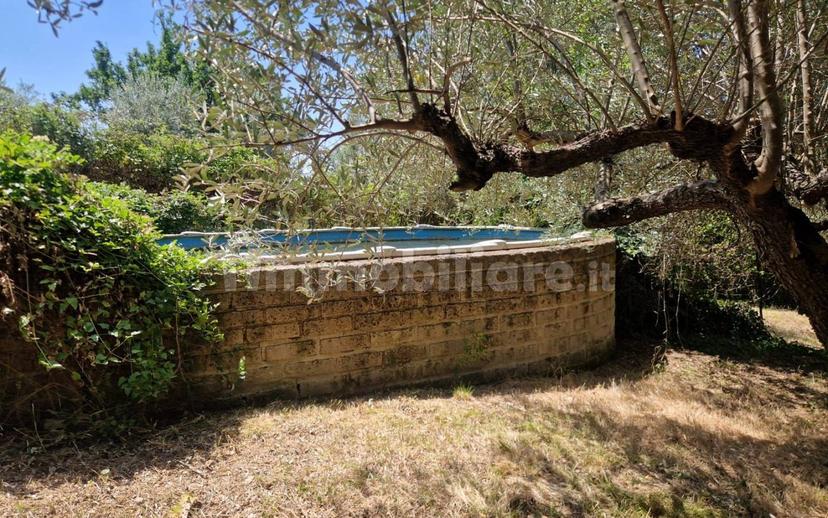 Villa unifamiliare via Ternana 57, Poggio Catino — foto 36 di 48