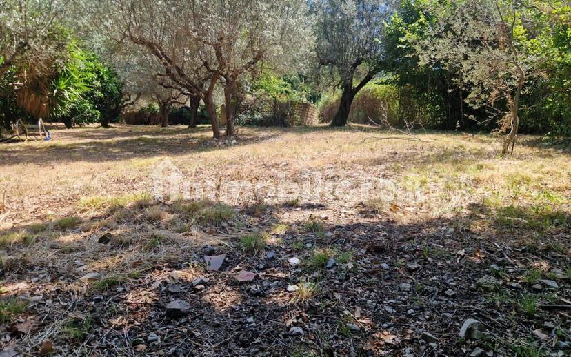 Villa unifamiliare via Ternana 57, Poggio Catino — foto 38 di 48