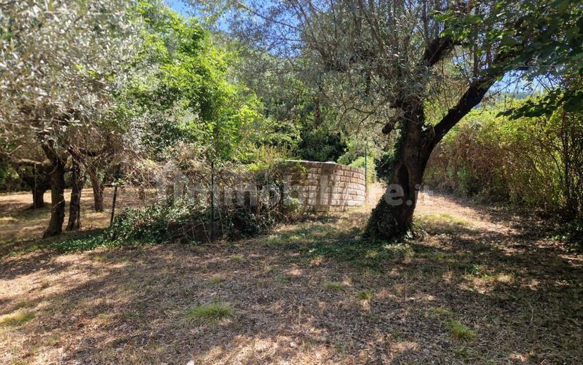 Villa unifamiliare via Ternana 57, Poggio Catino — foto 17 di 48