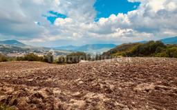 Cascina Località Sartori, Morfasso