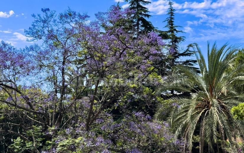 Trilocale buono stato, piano terra, Via Romana, Bordighera — foto 17 di 29